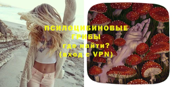 каннабис Арсеньев