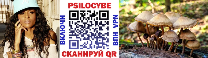 Псилоцибиновые грибы Cubensis Рыльск